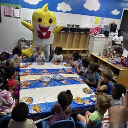 First Class Preparatory School
