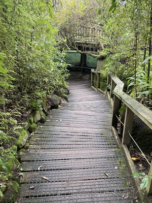 Willowbank Wildlife Reserve by null