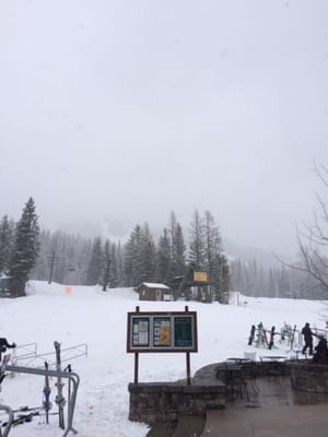 Whitefish Mountain Resort by null