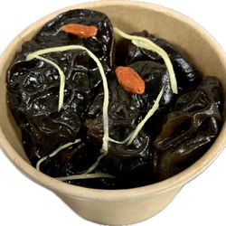 Asian Bentos