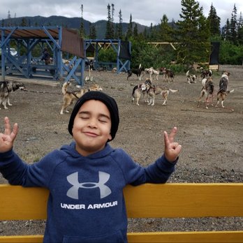 Midnight Sun Excursions - Sled Dogs - Bus Tours Near Me Midnight Sun Excursions - Sled Dogs - Bus Tours Near Me