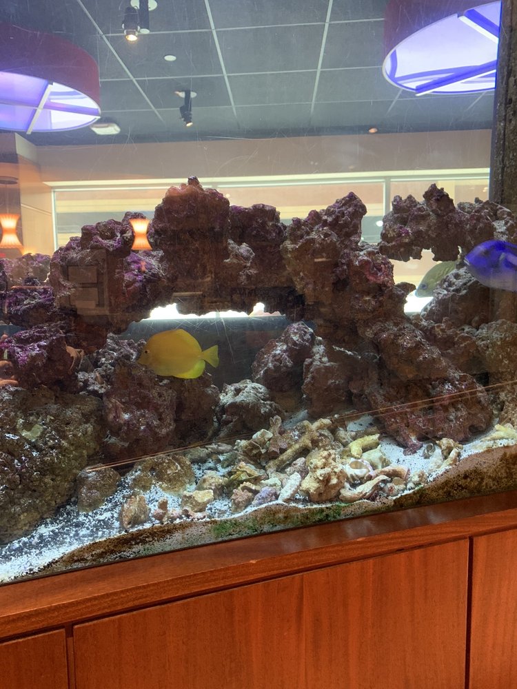 AQUARIUM CAFE Updated September 2024 30 Prospect Ave, Hackensack