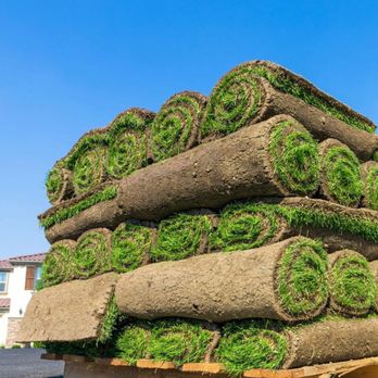 Atlanta Sod Farms - Landscaping Near Me - Bishop, Georgia Atlanta Sod Farms - Landscaping Near Me - Bishop, Georgia
