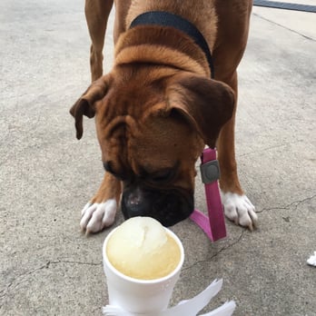 Texas Sno - Doggie cone - Shaved Ice Near Me - Katy, Texas