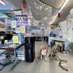 Customer stay behind the curtain