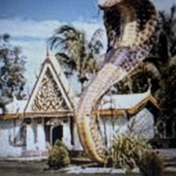 Miami Serpentarium Marker - The Miami Serpentarium - Landmarks & Historical Buildings Near Me - Miami, Florida