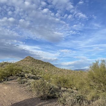 Desert Wolf Tours - Tours Near Me - Phoenix, Arizona