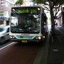 Photo of Forest Coach Lines