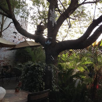 Village Grill - Tree in the middle of the patio area... - Breakfast & Brunch Near Me - Bakersfield, California Village Grill - Tree in the middle of the patio area... - Breakfast & Brunch Near Me - Bakersfield, California