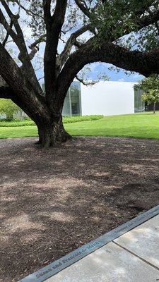 Menil Drawing Institute by null