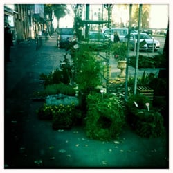 Floristik Art & Ambiente