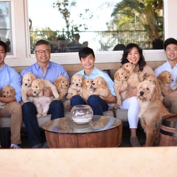 Healthy Paws Veterinary Care - Yes I am verified dog lover and Breeder. - Veterinarians Near Me - Fullerton, California Healthy Paws Veterinary Care - Yes I am verified dog lover and Breeder. - Veterinarians Near Me - Fullerton, California