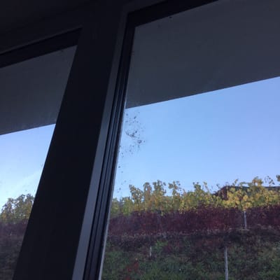 Hôtel Lavaux by null