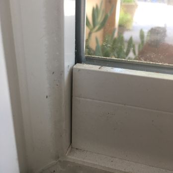Diamond Head Windows & Doors - Windows Installation Near Me - Aiea, Hawaii