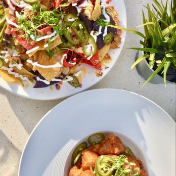 Palace Bar - Chicken nachos and cauliflower bites - Gay Bars Near Me - Miami Beach, Florida Palace Bar - Chicken nachos and cauliflower bites - Gay Bars Near Me - Miami Beach, Florida