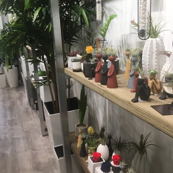 The Eden Plants - Nurseries & Gardening Near Me - Fort Lauderdale, Florida