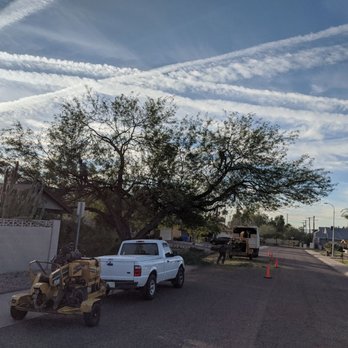 Bassett Tree Service - Tree Services Near Me - Mesa, Arizona Bassett Tree Service - Tree Services Near Me - Mesa, Arizona