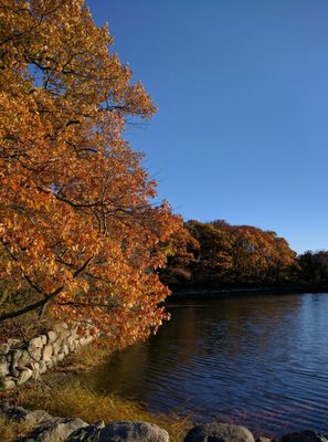 Greenwich Point Park by null