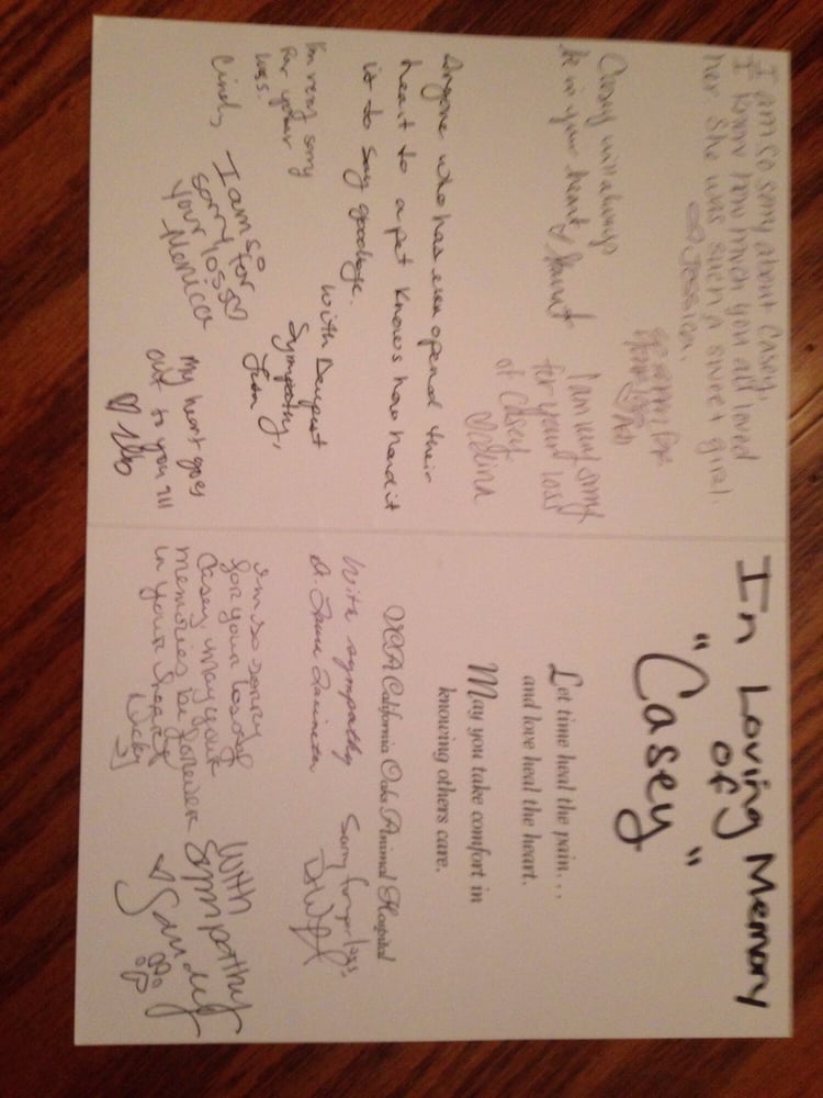 vca california oaks animal hospital