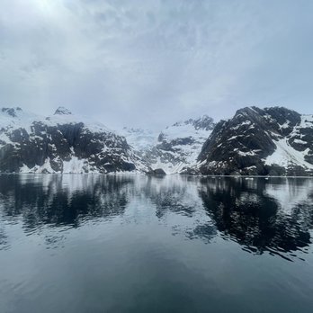 Alaska Saltwater Tours - Boat Tours Near Me - Seward, Alaska Alaska Saltwater Tours - Boat Tours Near Me - Seward, Alaska