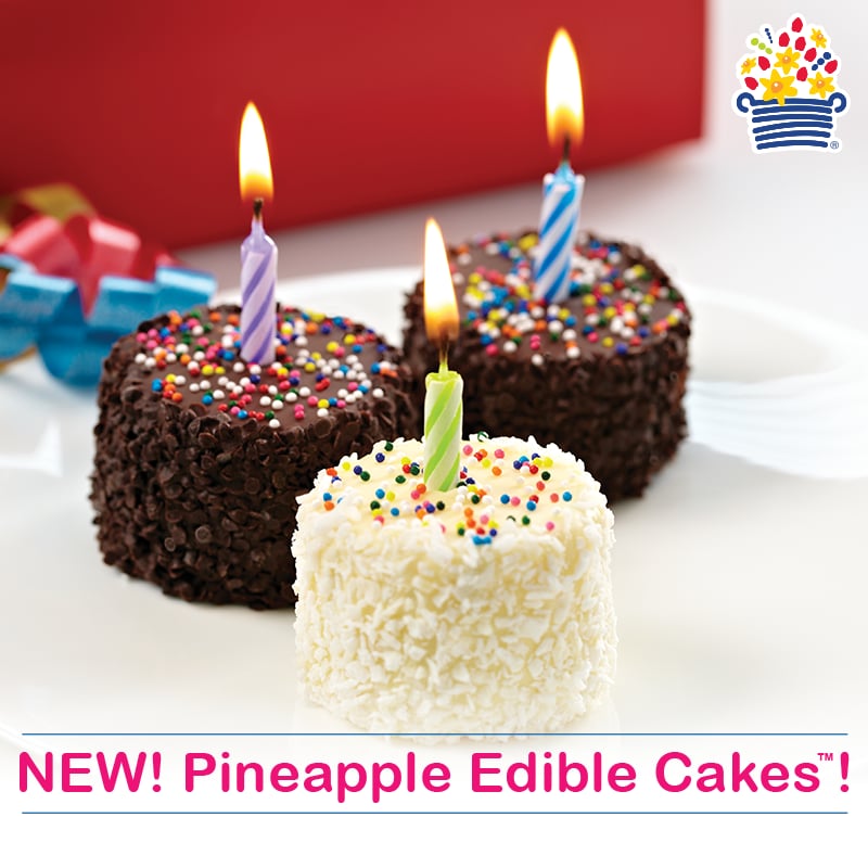 EDIBLE ARRANGEMENTS Updated October 2024 3836 Gateway Boulevard NW, Edmonton, Alberta Gift
