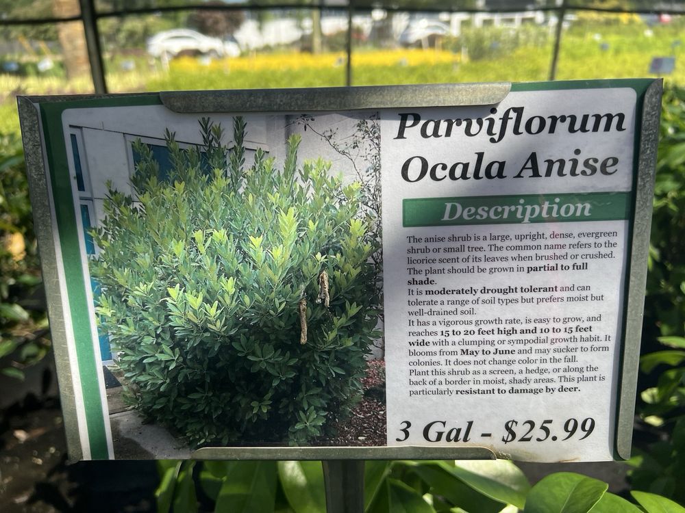 WHOLESALE NURSERY Updated October 2024 21 Photos 5600 Peachtree Blvd, Atlanta