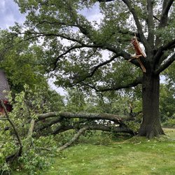 Wellnitz Tree Care