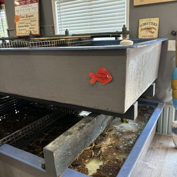 James Hook & Co - Live Crab - Seafood Near Me - Boston, Massachusetts