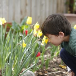 Montessori Discovery Garden