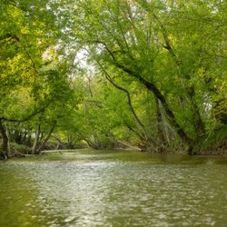 Creekside RV Park - Relax by the creek