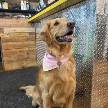 JK Grooming - Pet Groomers Near Me - Denver, Colorado JK Grooming - Pet Groomers Near Me - Denver, Colorado