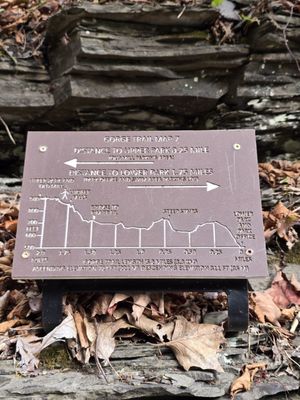 Robert H. Treman State Park by null