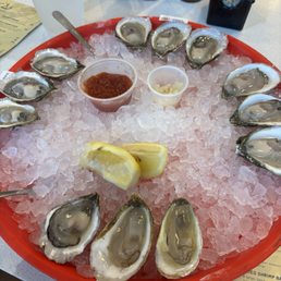 Oysters Oysters