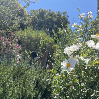 Hey Neighbor Cafe - Burrows Pocket Park - Coffee & Tea Near Me - San Francisco, California Hey Neighbor Cafe - Burrows Pocket Park - Coffee & Tea Near Me - San Francisco, California