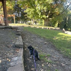 Jennings Memorial Park - Dog walking in Jennings Park