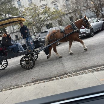 Burwell's Stone Fire Grill - Horse passing - New American Near Me - Charleston, South Carolina Burwell's Stone Fire Grill - Horse passing - New American Near Me - Charleston, South Carolina