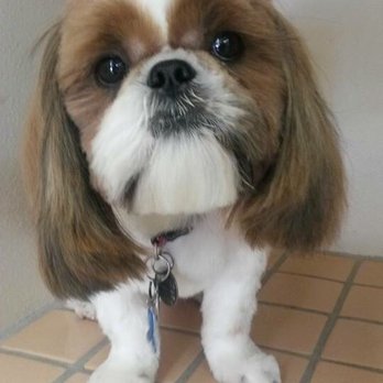 Millie's Dog World - Pet Groomers Near Me - Phoenix, Arizona