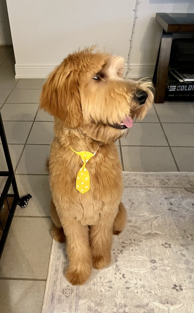 NORTHWOOD HILLS ANIMAL HOSPITAL Updated September 2024 13 Photos