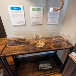 North Carolina Museum of Natural Sciences at Greenville