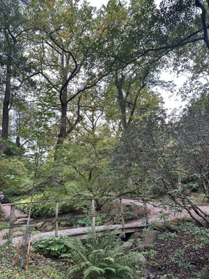 Gothenburg Botanical Garden by null