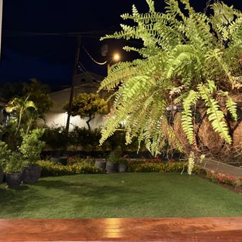 Star Noodle - View from the rocking chairs out to the yard - Asian Fusion Near Me - Lahaina, Hawaii Star Noodle - View from the rocking chairs out to the yard - Asian Fusion Near Me - Lahaina, Hawaii