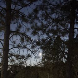 Thousand Trails Lake of the Springs