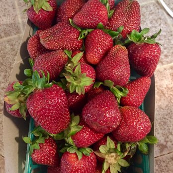The Strawberry Patch - Fresh Local Strawberries - Farmers Market Near Me - Sacramento, California