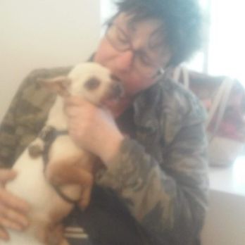 VCA Everett Animal Hospital - Last goodbye to my precious Romeo... before his crossing over Rainbow Bridge... - Veterinarians Near Me - Everett, Massachusetts