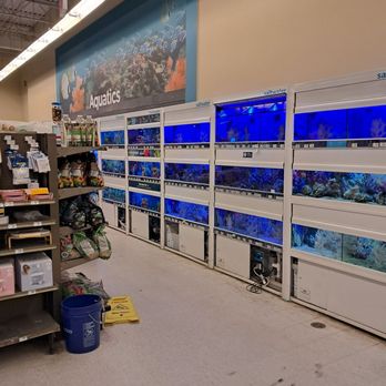 Petco - Interior - Pet Stores Near Me - Brooklyn, New York