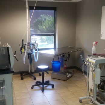 Egan Animal Hospital - dental suite - Veterinarians Near Me - Chatham, Ontario Egan Animal Hospital - dental suite - Veterinarians Near Me - Chatham, Ontario