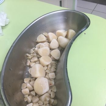 Benitez Animal Hospital - The aftermath. - Veterinarians Near Me - Hialeah, Florida