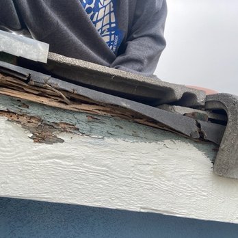 Pro Pacific Pest Control - Roofer showing dry rot - Pest Control Near Me Pro Pacific Pest Control - Roofer showing dry rot - Pest Control Near Me