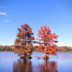 August A. Busch Memorial Conservation Area