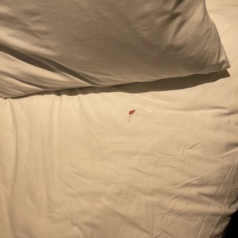 SpringHill Suites by Marriott Fairfax Fair Oaks - Blood on sheets - Hotels Near Me - Fairfax, Virginia SpringHill Suites by Marriott Fairfax Fair Oaks - Blood on sheets - Hotels Near Me - Fairfax, Virginia